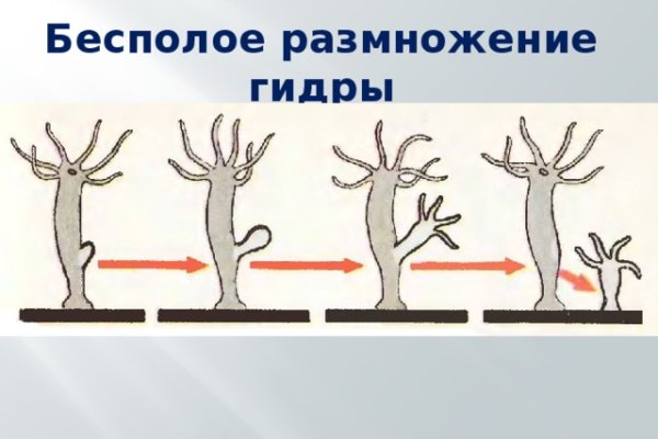 Заказать даркнет