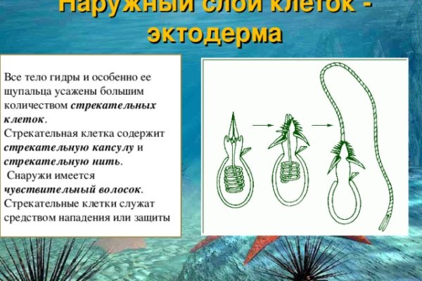 Кракен сайт что это