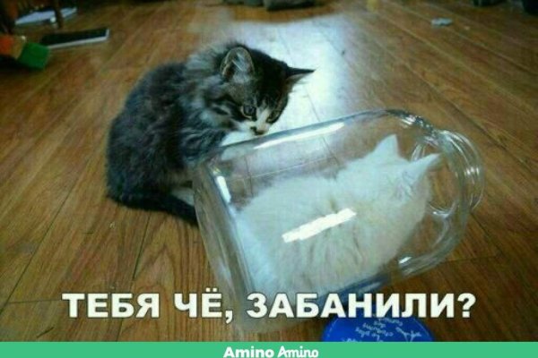 Ссылка на кракена для тора