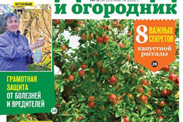 Кракен без впн