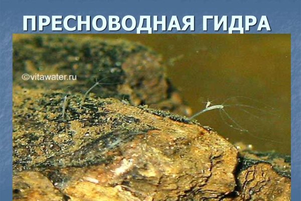 Как зарегистрироваться на кракене