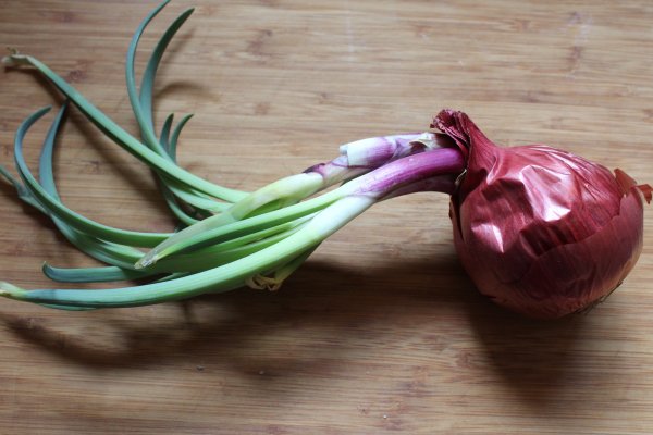 Kraken рабочая ссылка onion