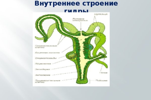 Кракен маркетплейс 2025