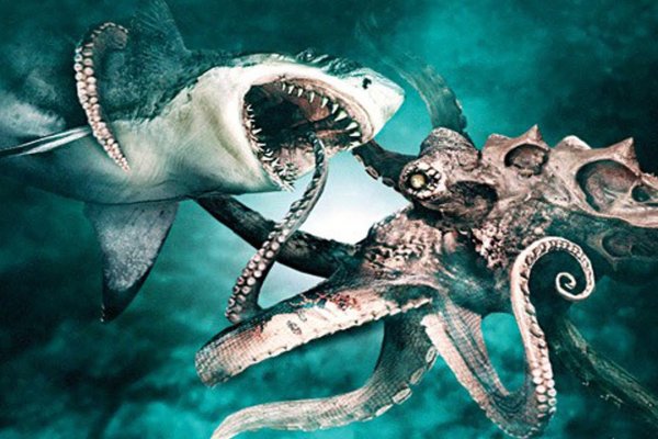 Кракен онион kraken dark link