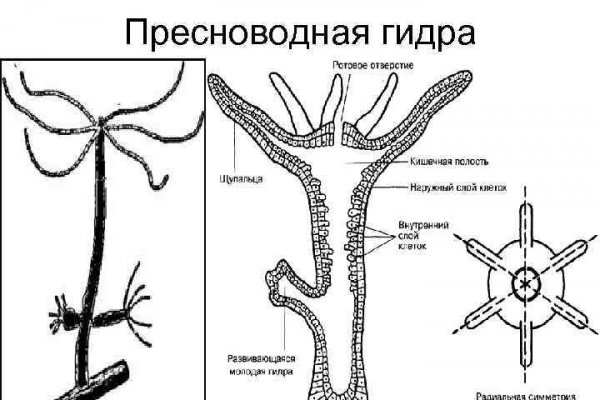Что такое сайт в россии