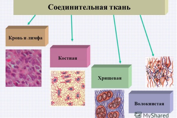 Кракен сайт зеркало рабочее на сегодня