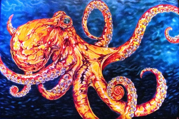 Kraken 18at