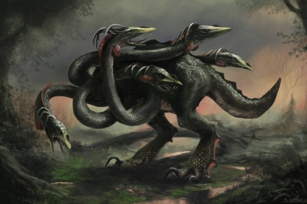 Kraken market3