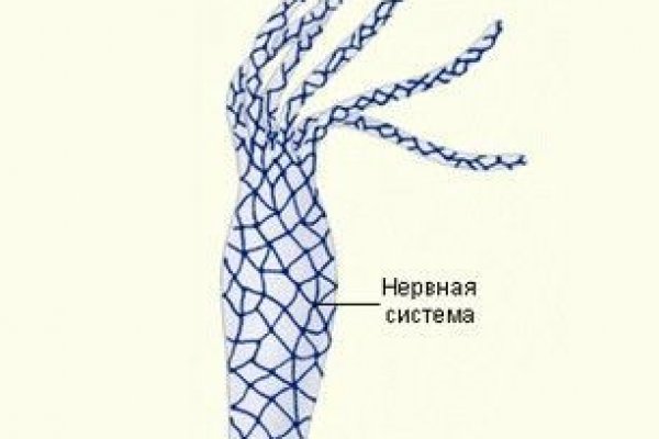Гидра даркнет рынок