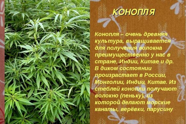 Кракен даркнет слушать