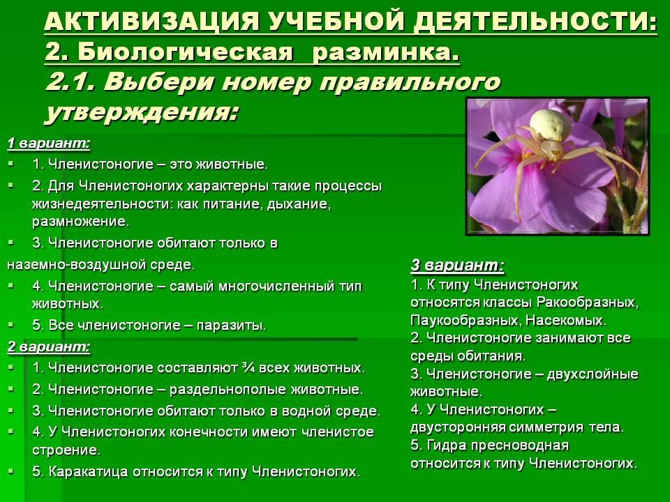Свежие ссылки кракен