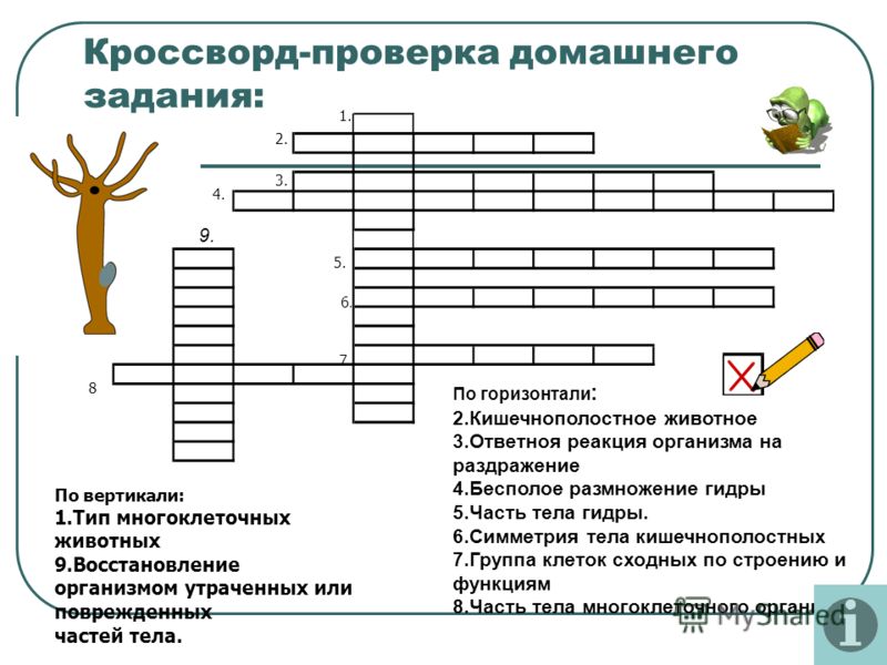 Что такое кракен маркет