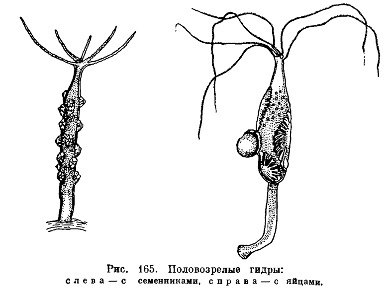 Kra29.cc